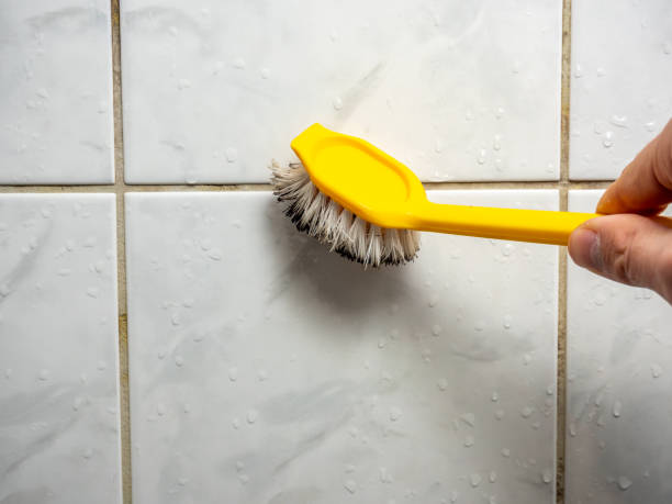 Best Office Mold Removal Services  in Lakes West, CT