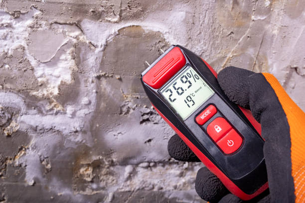 Home Mold Removal in Lakes West, CT