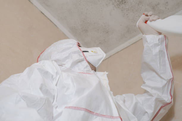 Crawl Space Mold Removal in Lakes West, CT