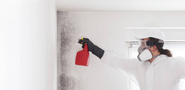 Best Crawl Space Mold Removal  in Lakes West, CT