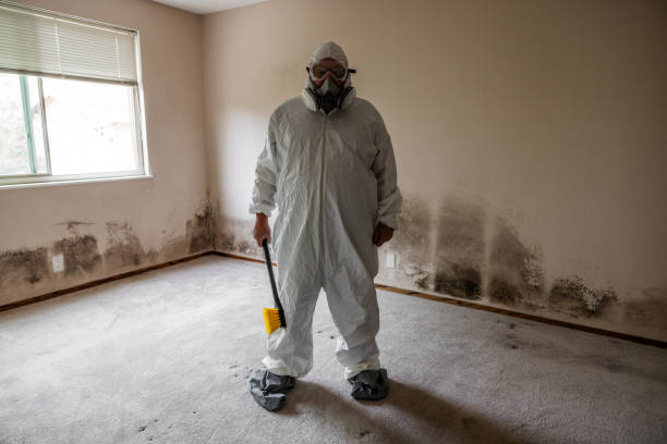 Best Commercial Mold Removal  in Lakes West, CT